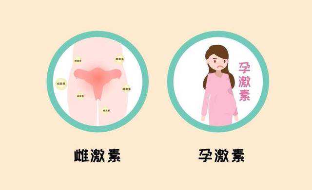 子宫肌瘤治疗与助孕选择指南